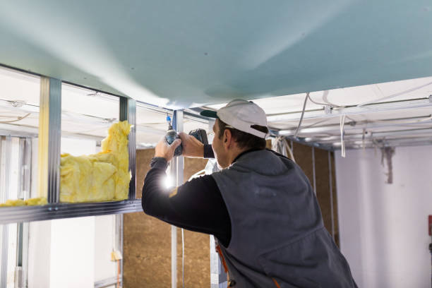 Best Commercial Insulation in Rosedale, LA