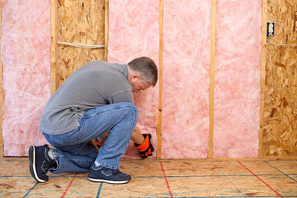 Best Geographic-Specific Insulation Services in Rosedale, LA